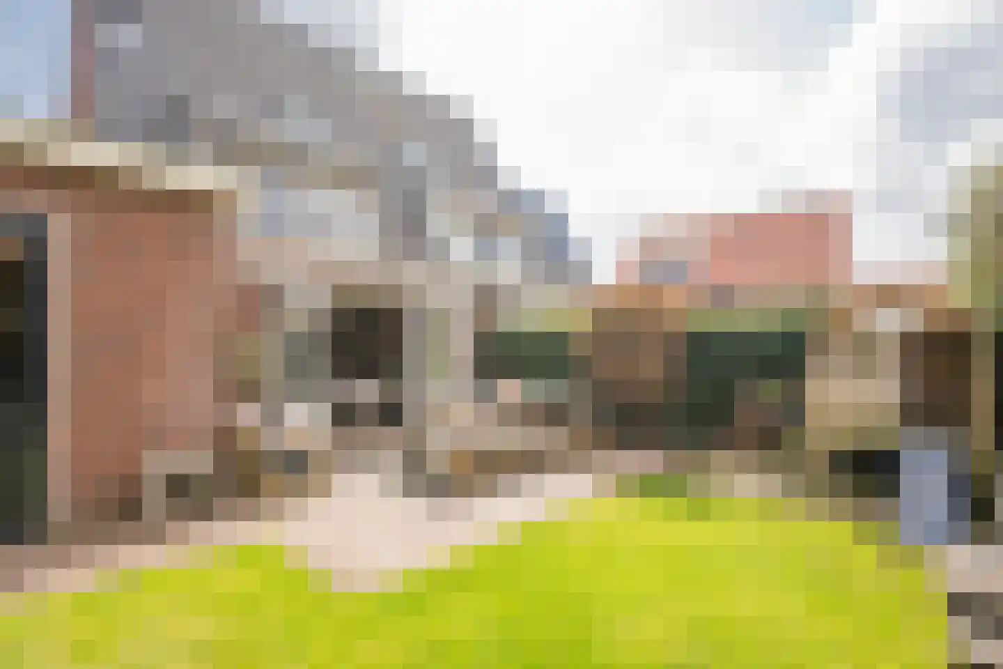 Kleine Vos 4 Nijkerk thumbnail 36