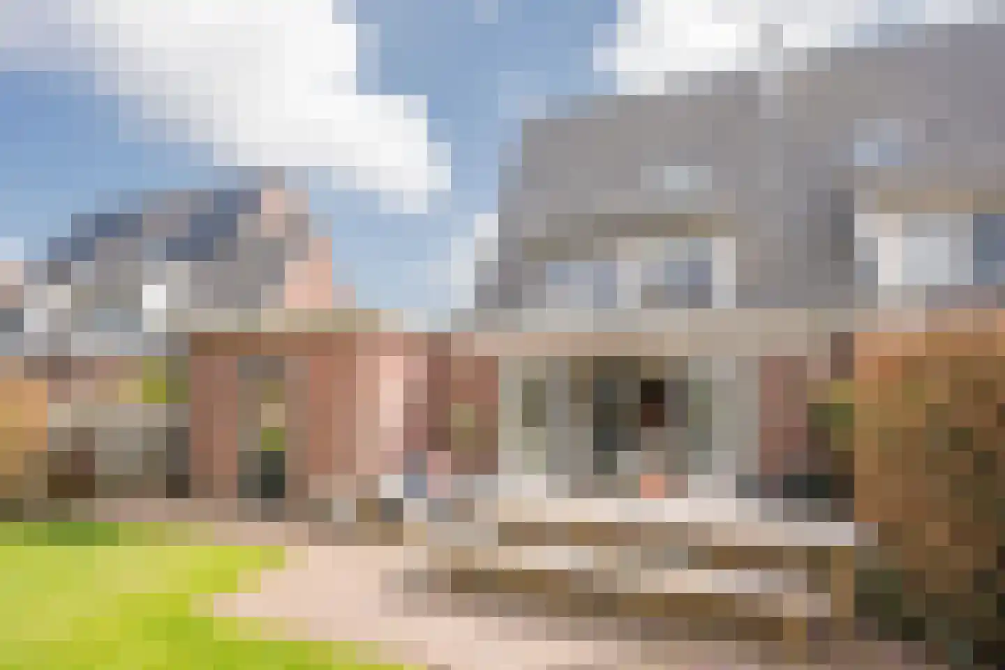 Kleine Vos 4 Nijkerk thumbnail 37