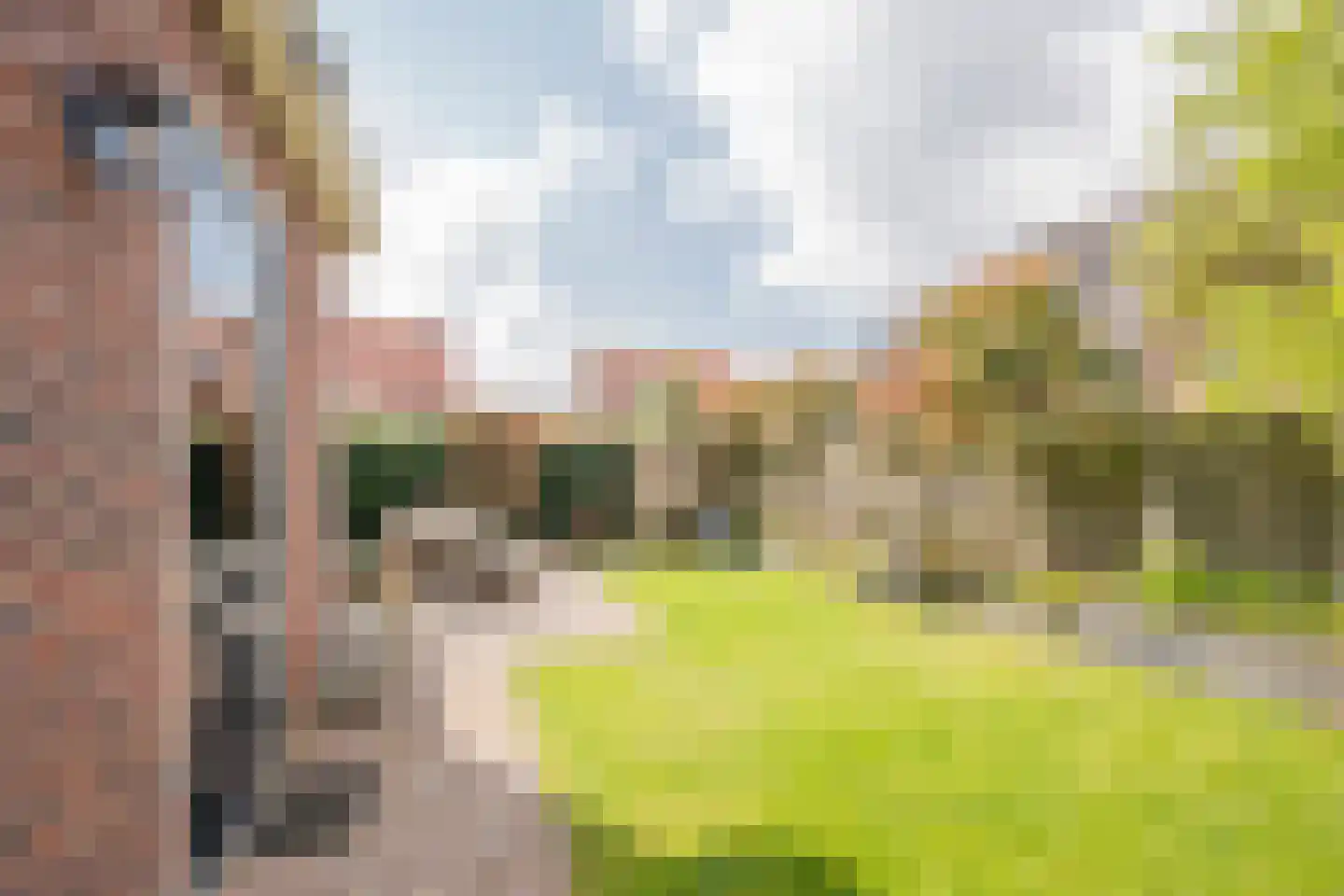 Kleine Vos 4 Nijkerk thumbnail 39
