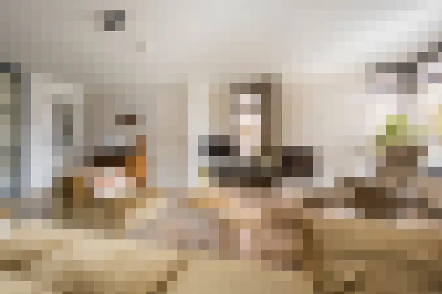 Kleine Vos 4 Nijkerk thumbnail 4