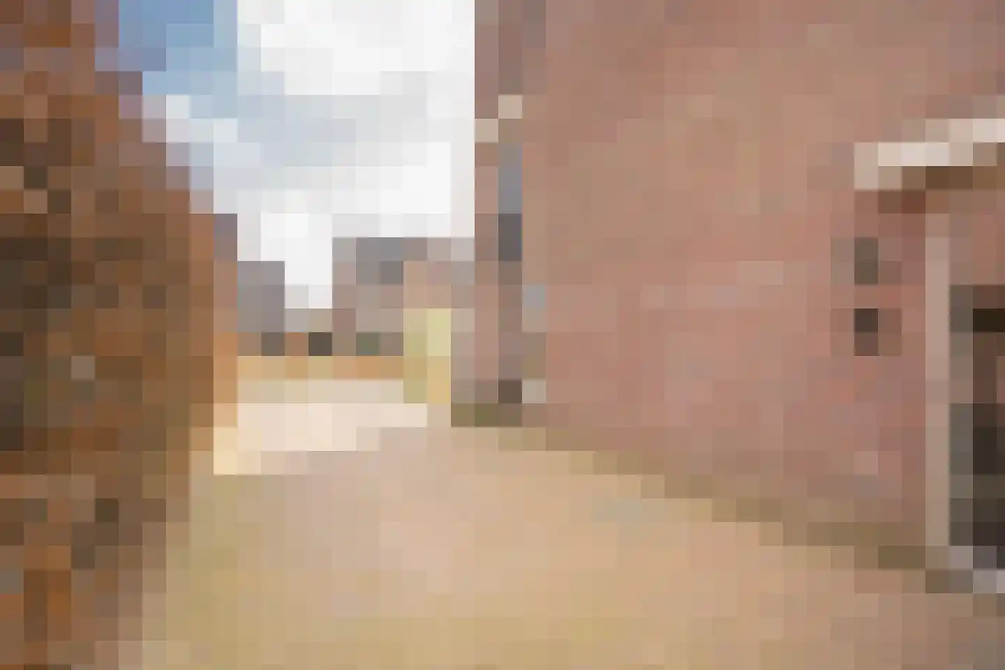 Kleine Vos 4 Nijkerk thumbnail 40