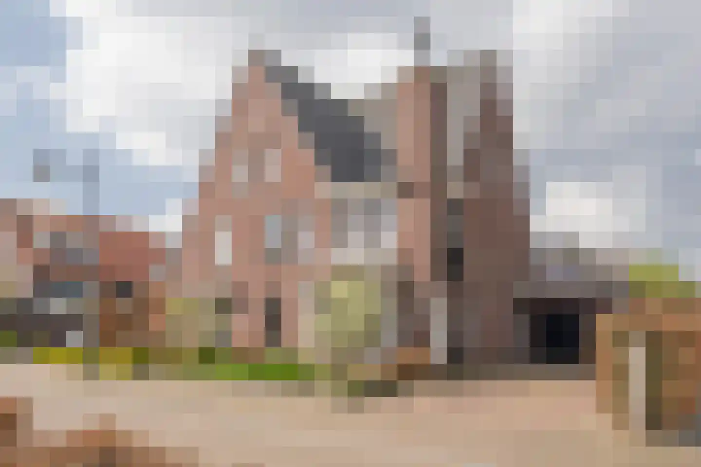 Kleine Vos 4 Nijkerk thumbnail 44