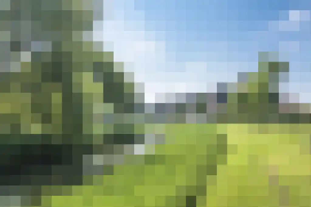 Kleine Vos 4 Nijkerk thumbnail 46