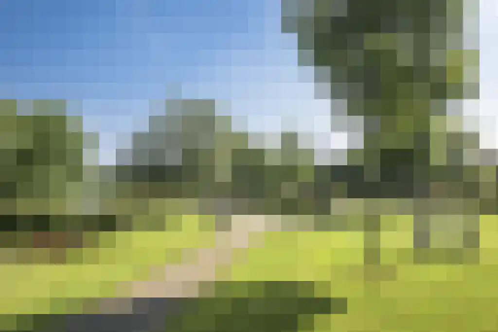 Kleine Vos 4 Nijkerk thumbnail 47