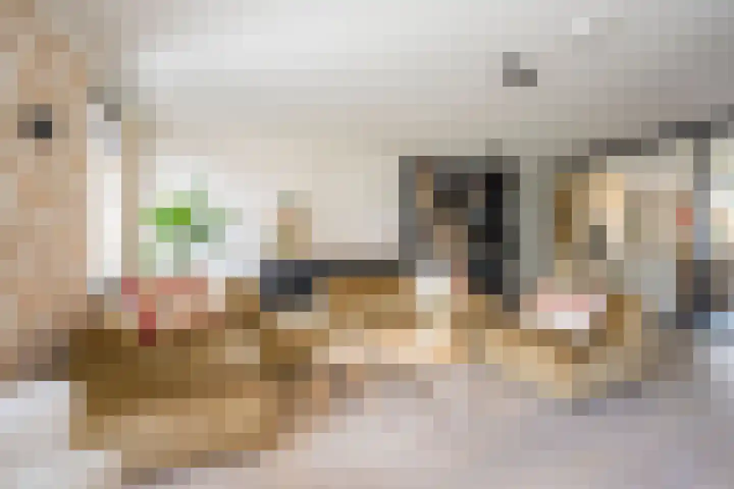 Kleine Vos 4 Nijkerk thumbnail 5