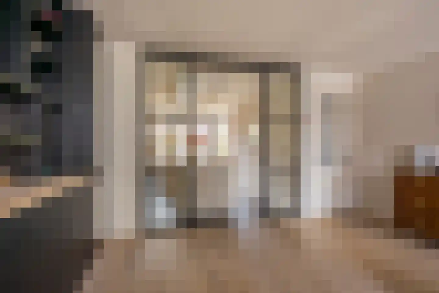 Kleine Vos 4 Nijkerk thumbnail 6