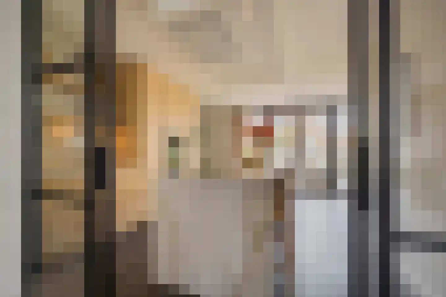 Kleine Vos 4 Nijkerk thumbnail 7