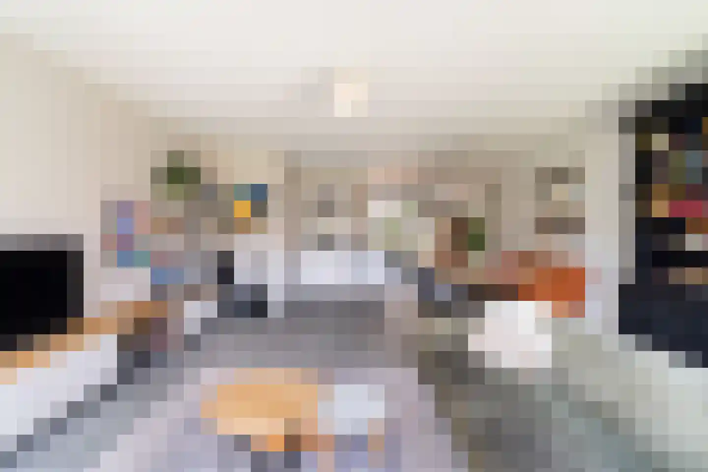 Kleine vos 4 's-Gravenzande thumbnail 10