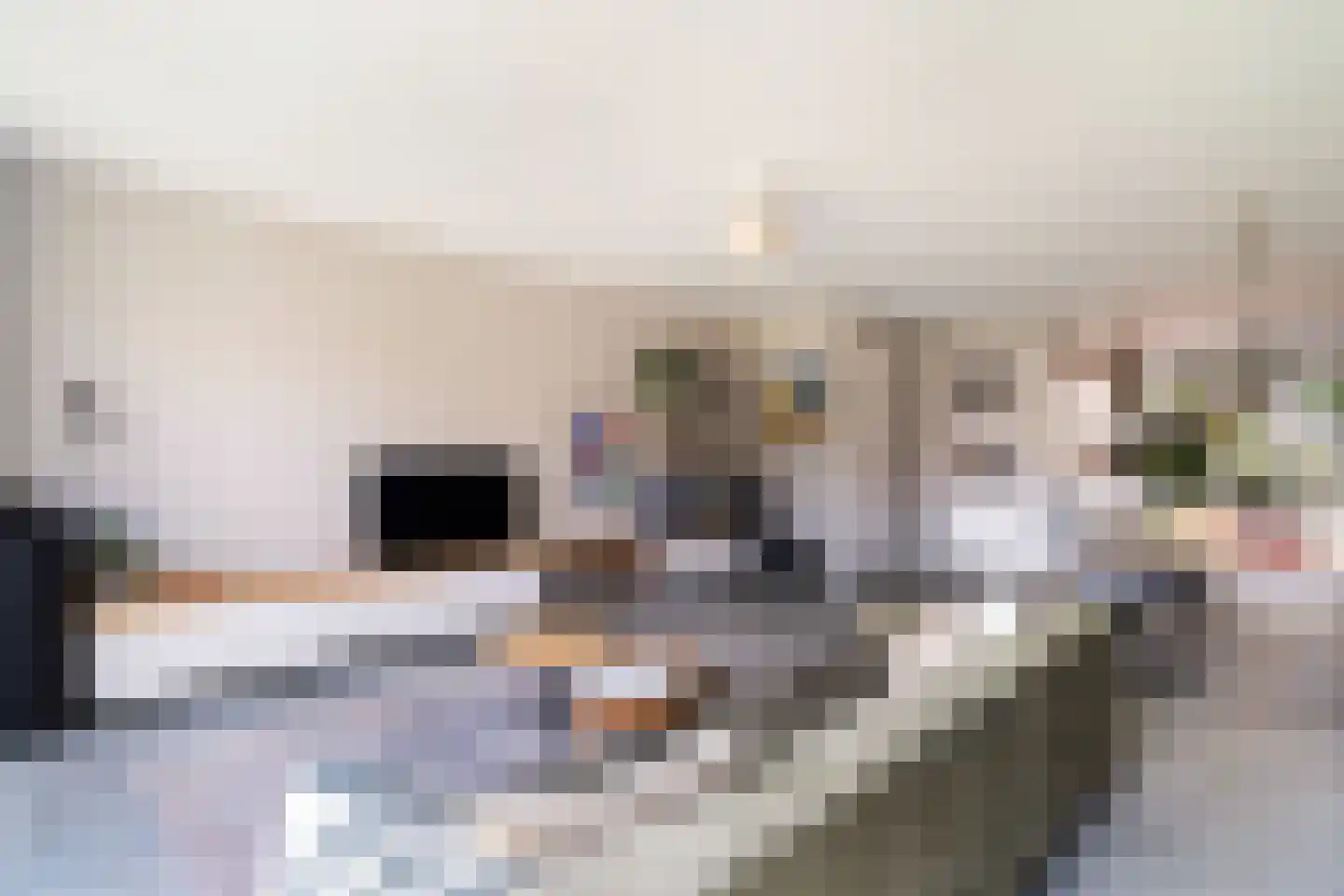 Kleine vos 4 's-Gravenzande thumbnail 11