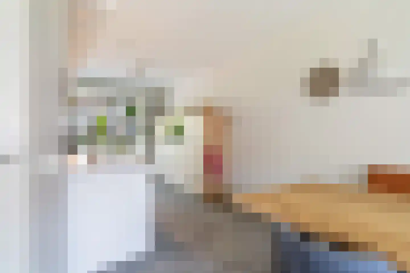 Kleine vos 4 's-Gravenzande thumbnail 12