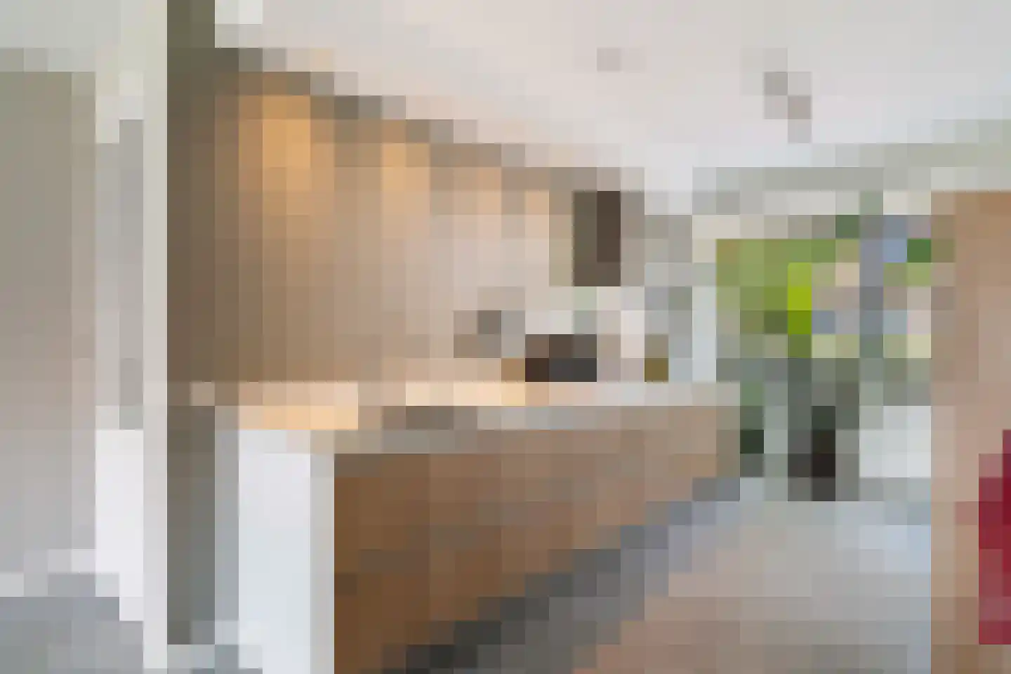 Kleine vos 4 's-Gravenzande thumbnail 13