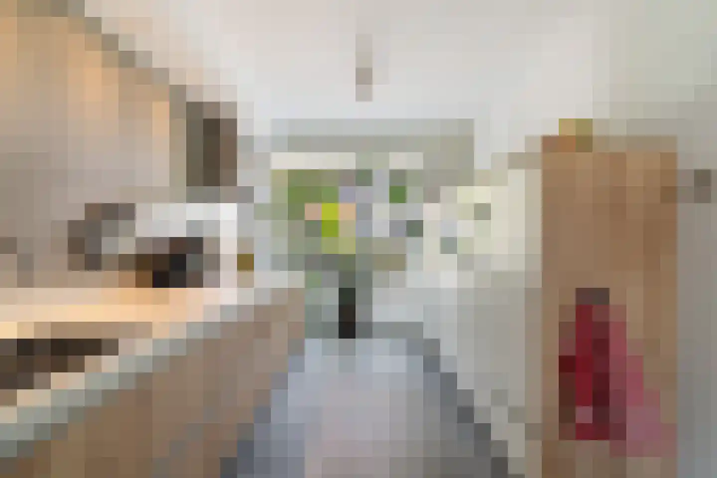 Kleine vos 4 's-Gravenzande thumbnail 14