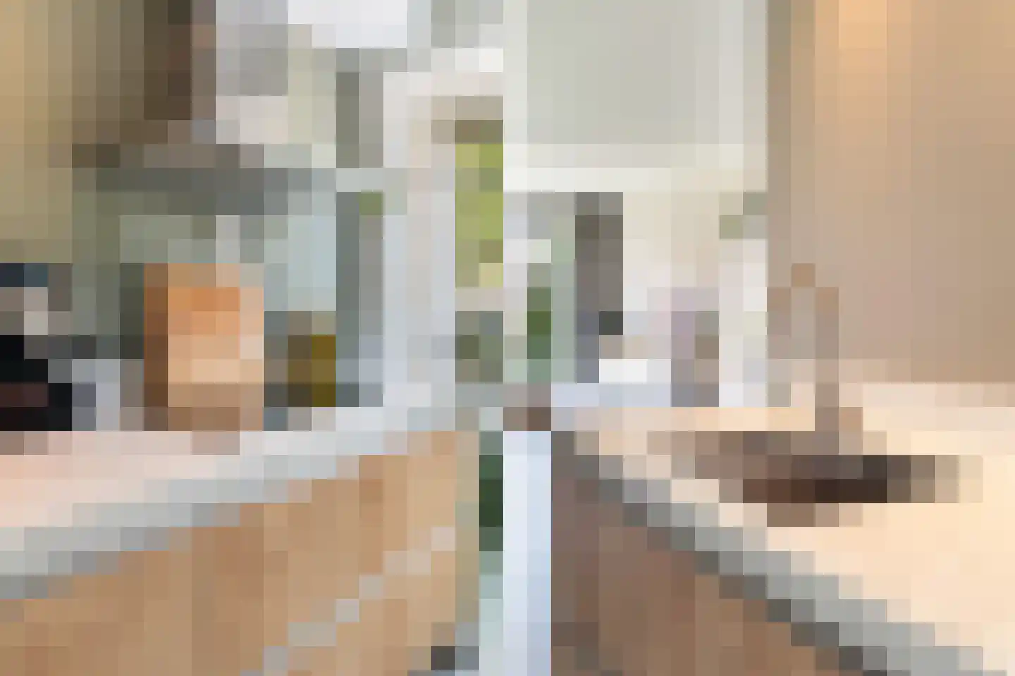 Kleine vos 4 's-Gravenzande thumbnail 15