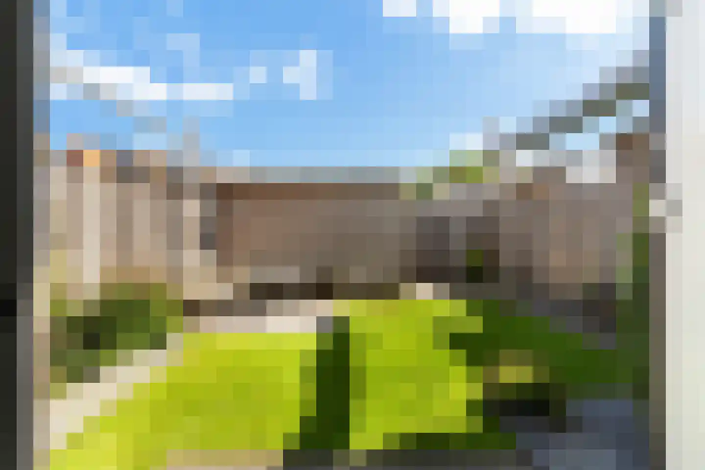 Kleine vos 4 's-Gravenzande thumbnail 18