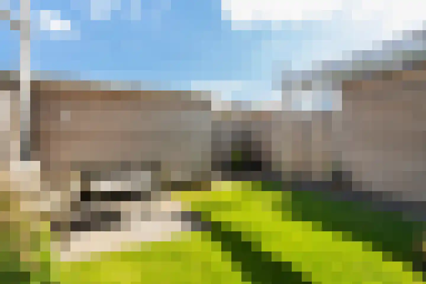 Kleine vos 4 's-Gravenzande thumbnail 19