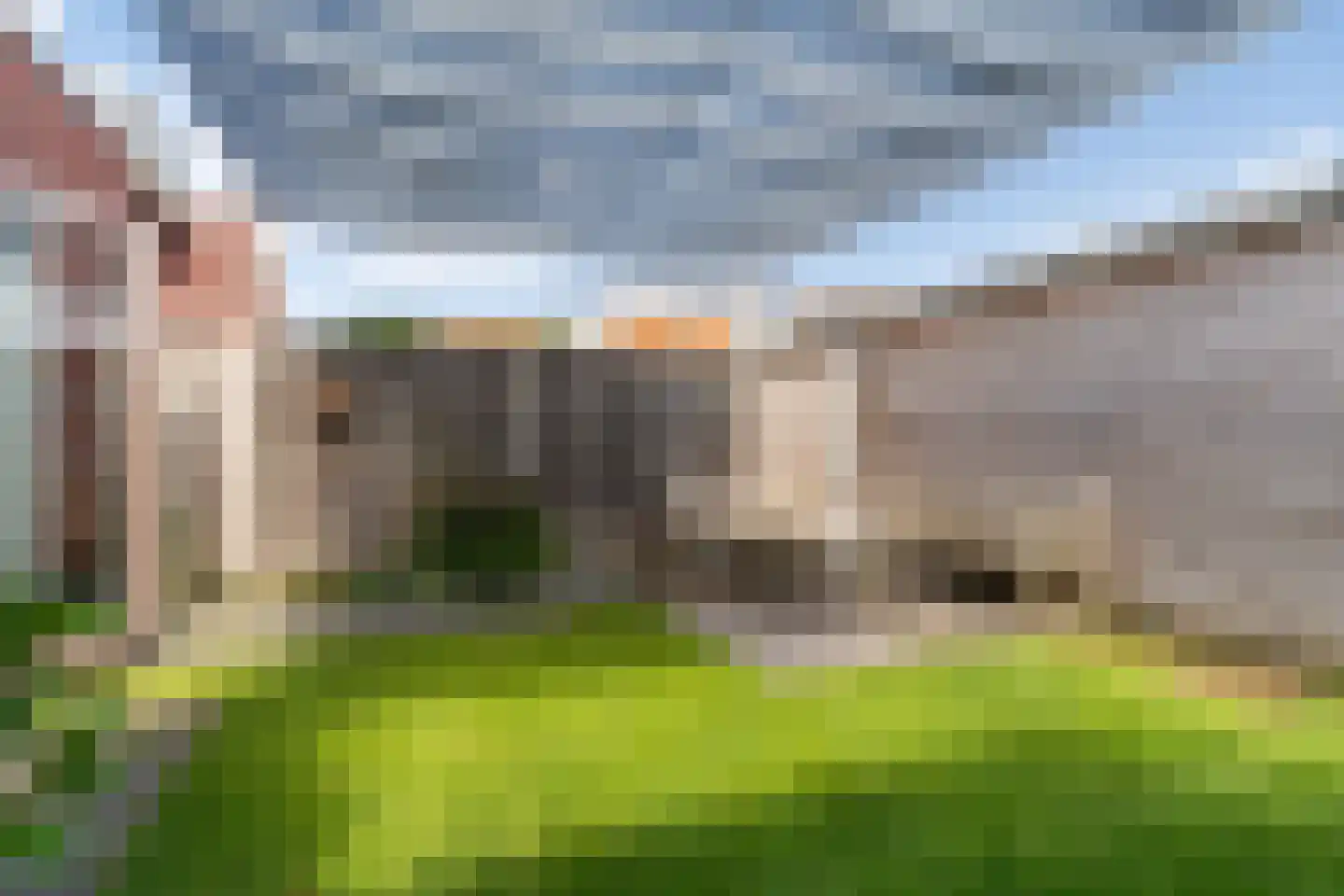 Kleine vos 4 's-Gravenzande thumbnail 22
