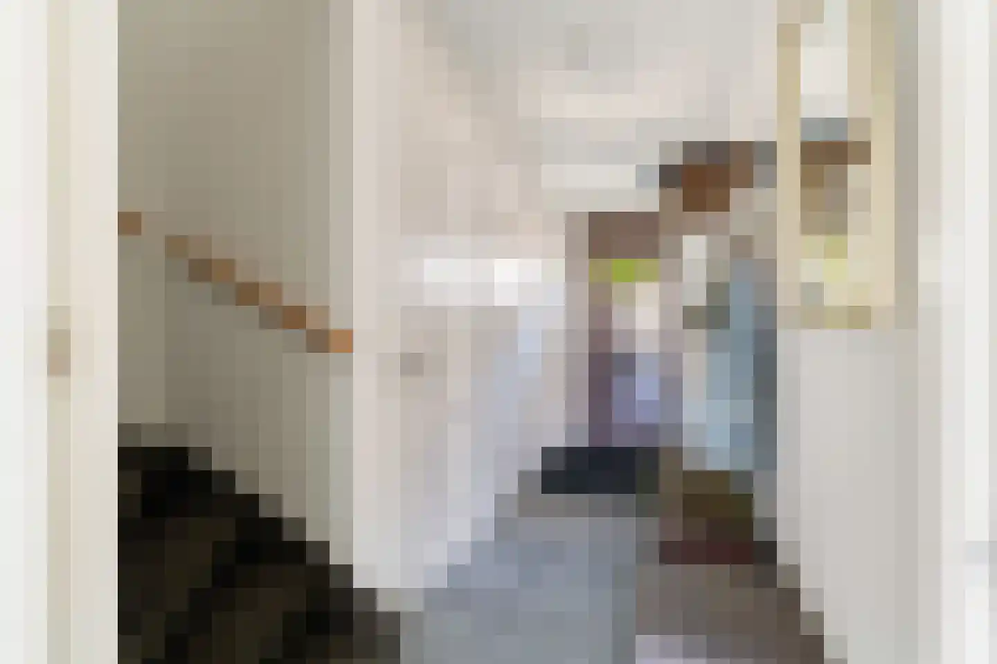 Kleine vos 4 's-Gravenzande thumbnail 23