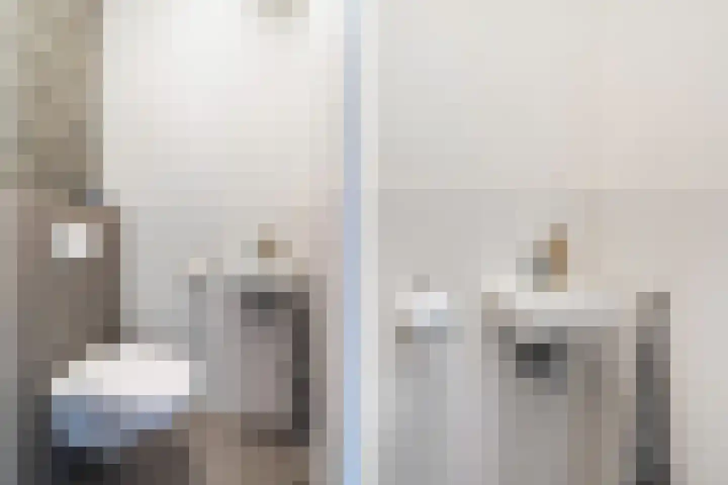 Kleine vos 4 's-Gravenzande thumbnail 24