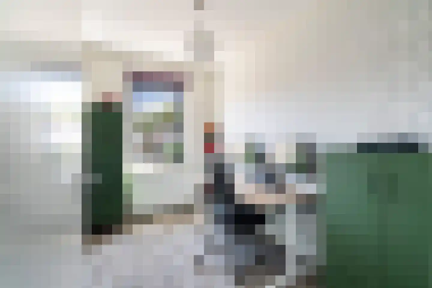 Kleine vos 4 's-Gravenzande thumbnail 26