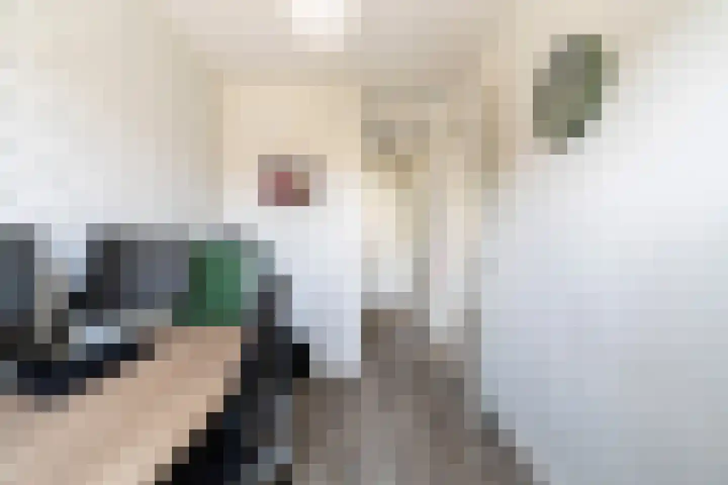 Kleine vos 4 's-Gravenzande thumbnail 27