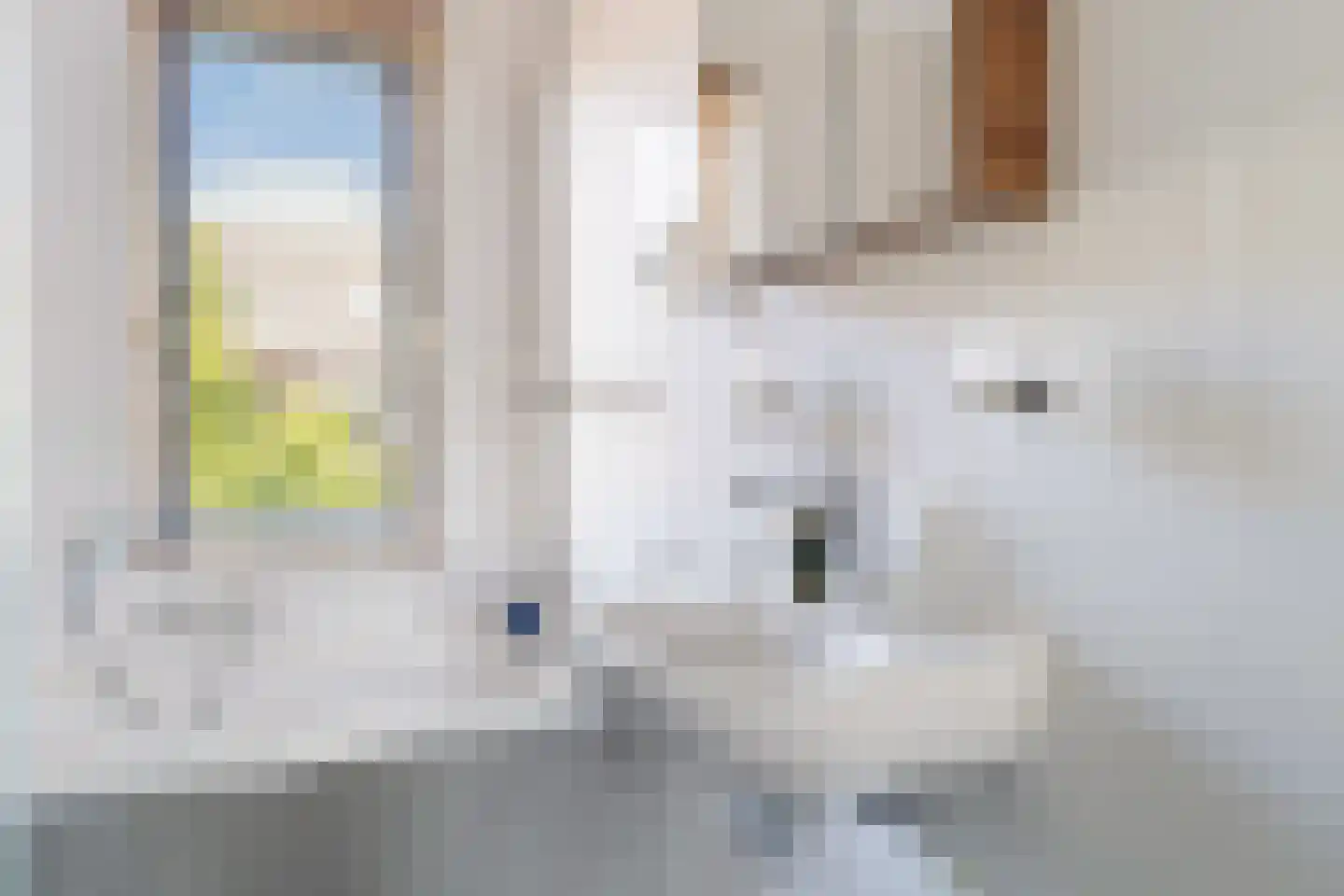 Kleine vos 4 's-Gravenzande thumbnail 30