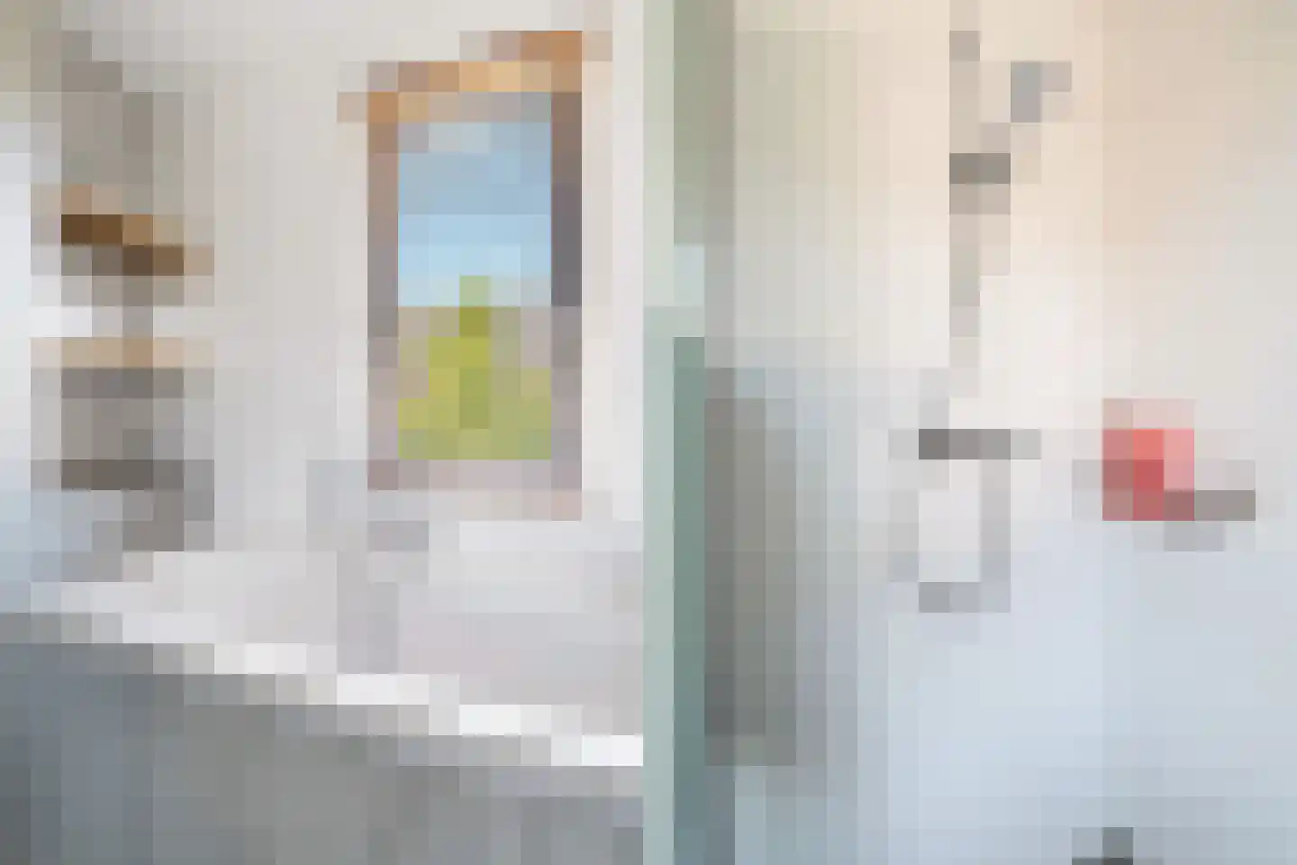 Kleine vos 4 's-Gravenzande thumbnail 31