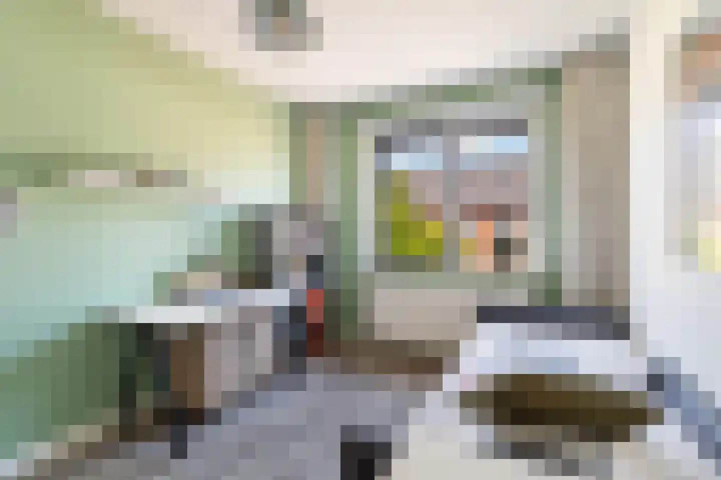 Kleine vos 4 's-Gravenzande thumbnail 33