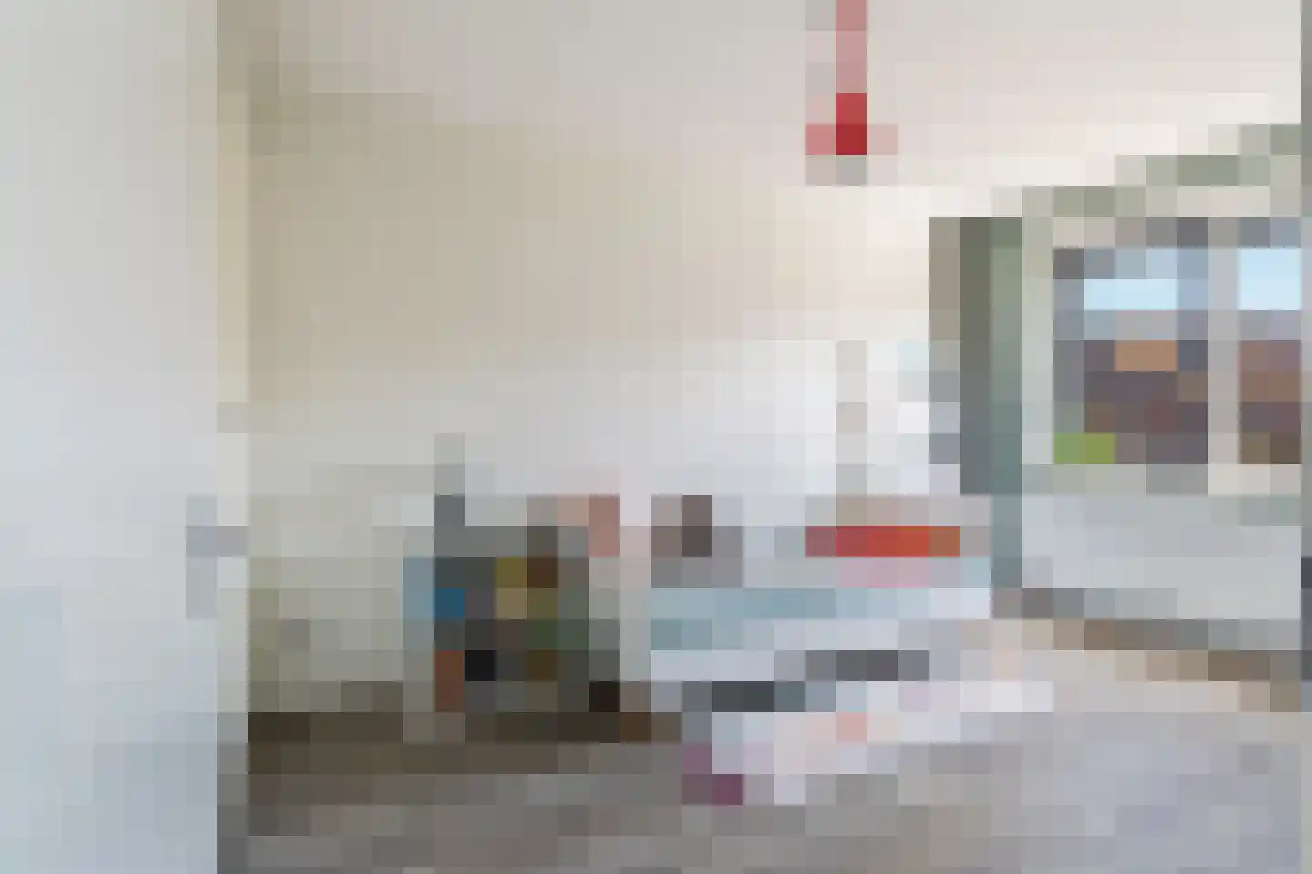 Kleine vos 4 's-Gravenzande thumbnail 35