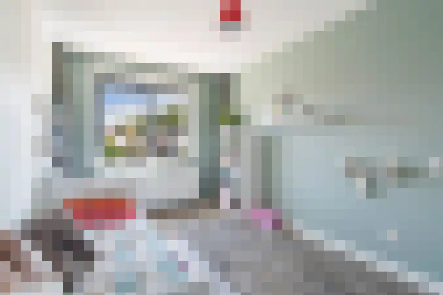 Kleine vos 4 's-Gravenzande thumbnail 36