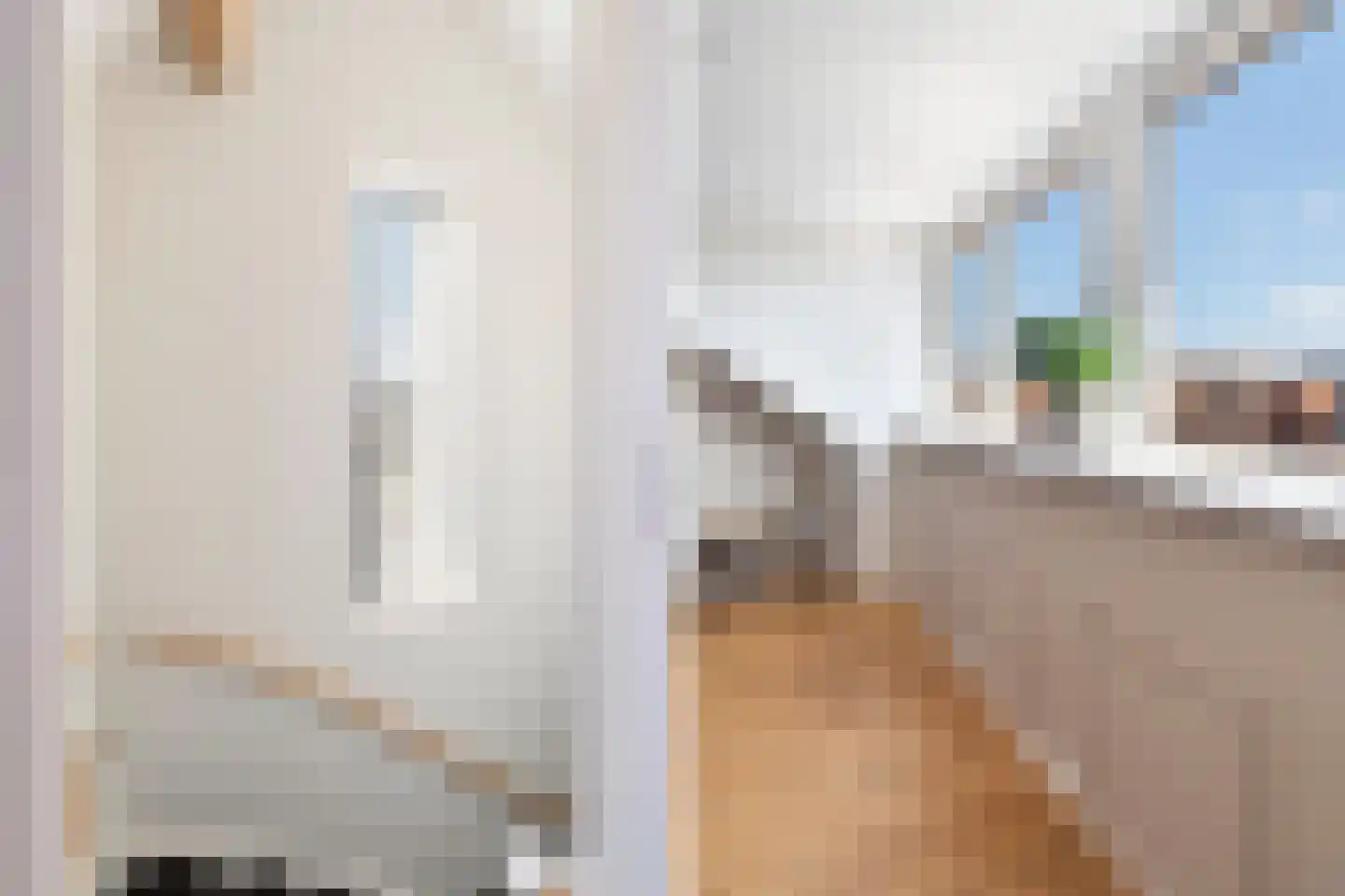 Kleine vos 4 's-Gravenzande thumbnail 39
