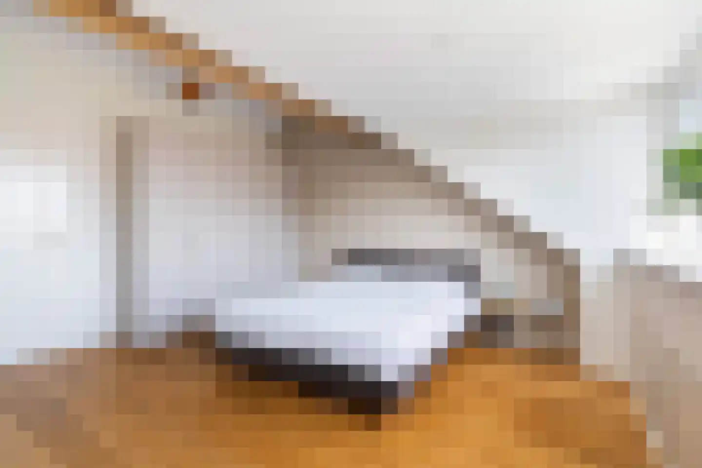 Kleine vos 4 's-Gravenzande thumbnail 42