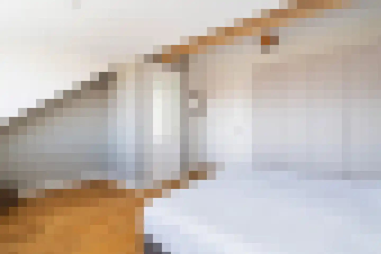 Kleine vos 4 's-Gravenzande thumbnail 43