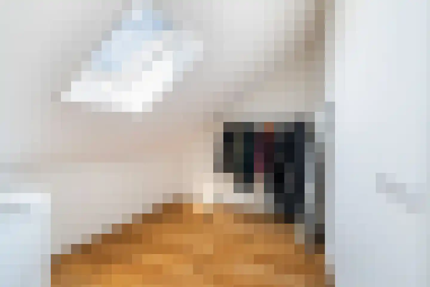 Kleine vos 4 's-Gravenzande thumbnail 45