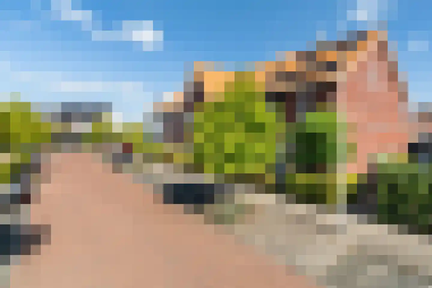 Kleine vos 4 's-Gravenzande thumbnail 47