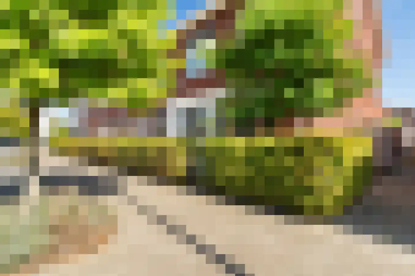 Kleine vos 4 's-Gravenzande thumbnail 49