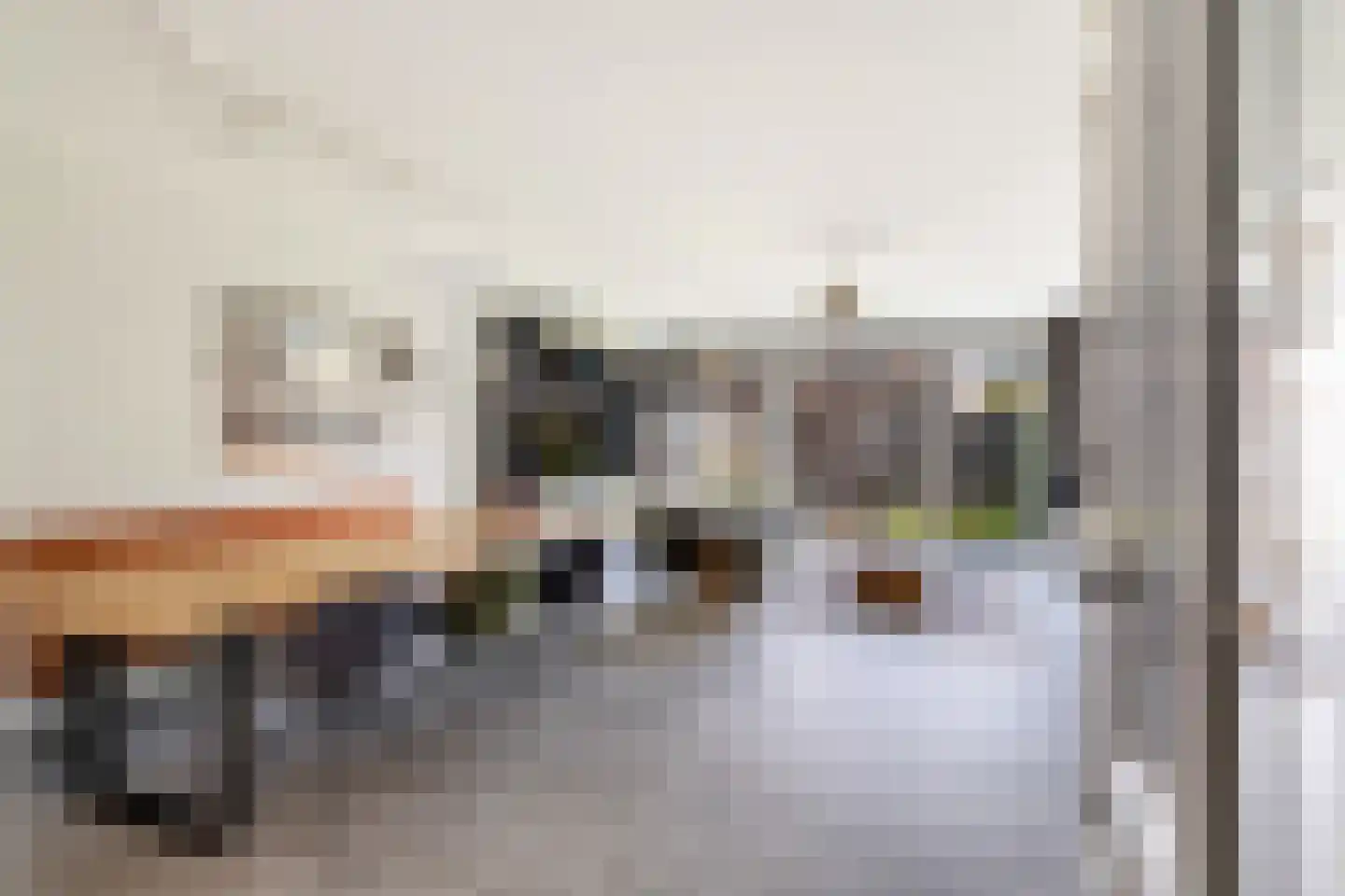 Kleine vos 4 's-Gravenzande thumbnail 5