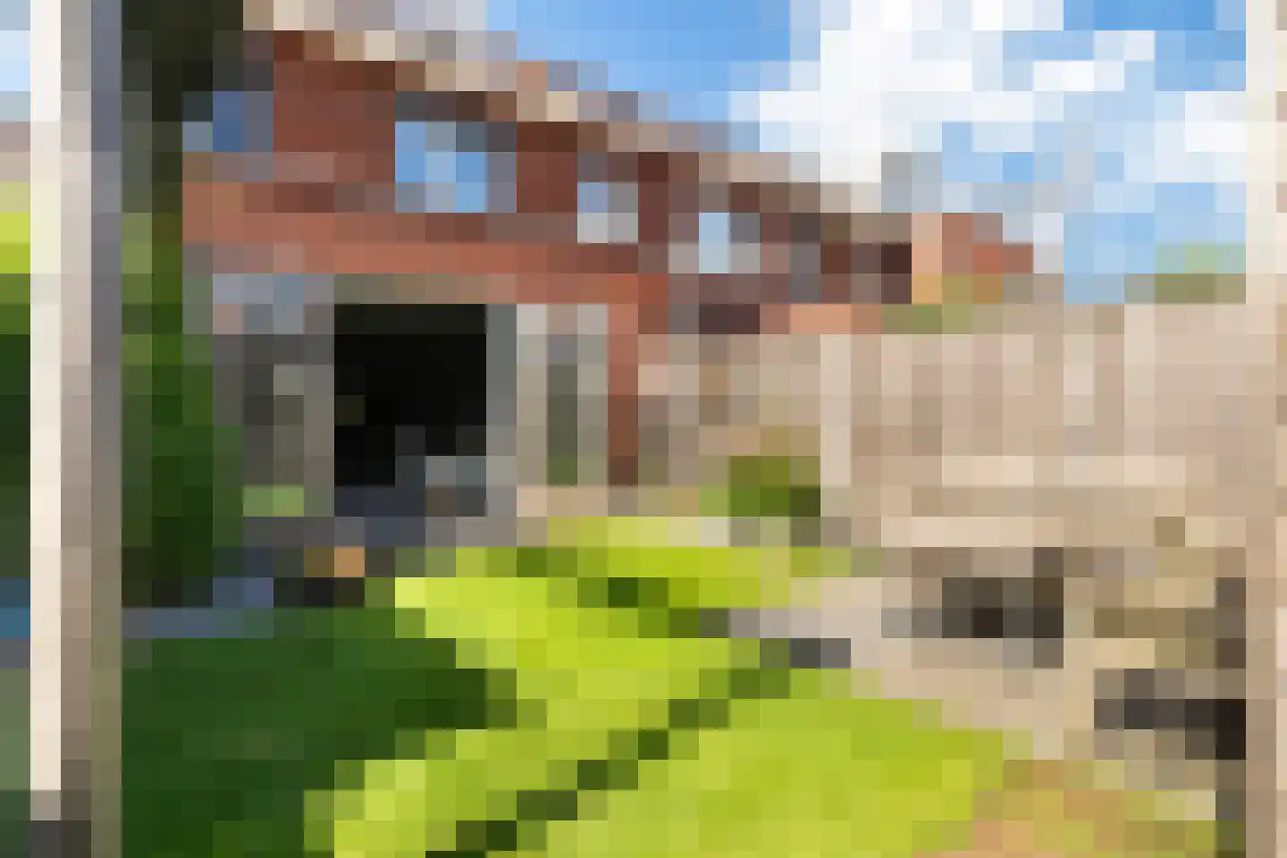 Kleine vos 4 's-Gravenzande thumbnail 6