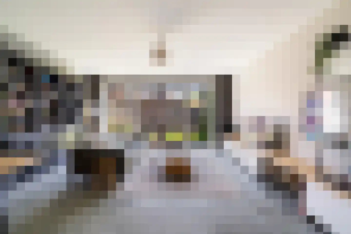 Kleine vos 4 's-Gravenzande thumbnail 7