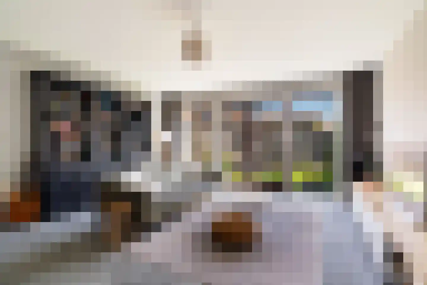 Kleine vos 4 's-Gravenzande thumbnail 8