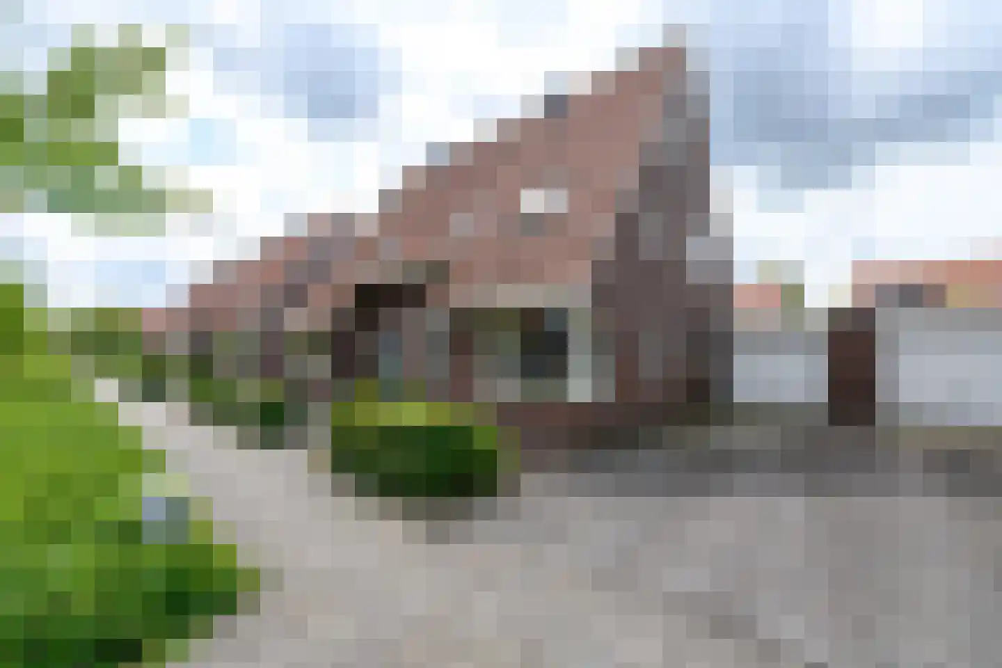 Kleine vos 6 in Wolvega