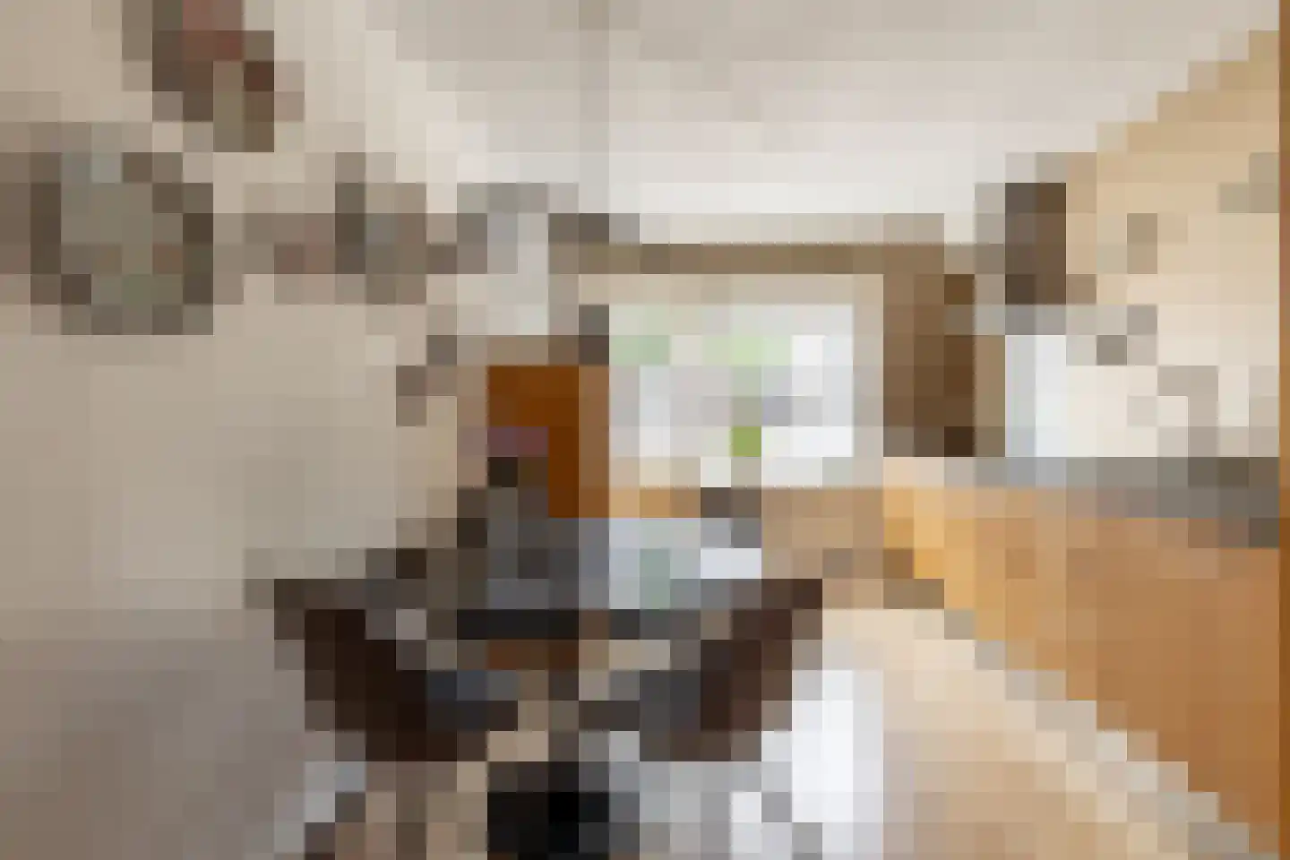 Kleine Vos 6 's-Gravendeel thumbnail 10