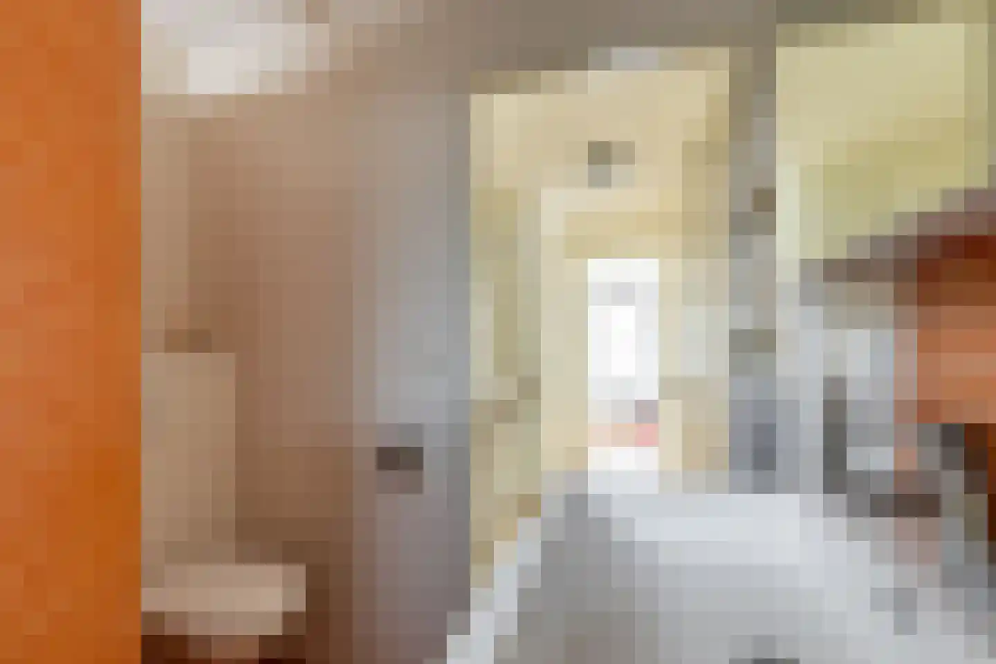 Kleine Vos 6 's-Gravendeel thumbnail 19