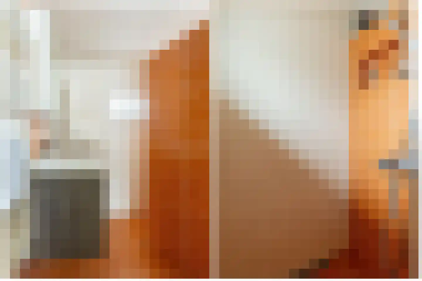 Kleine Vos 6 's-Gravendeel thumbnail 20