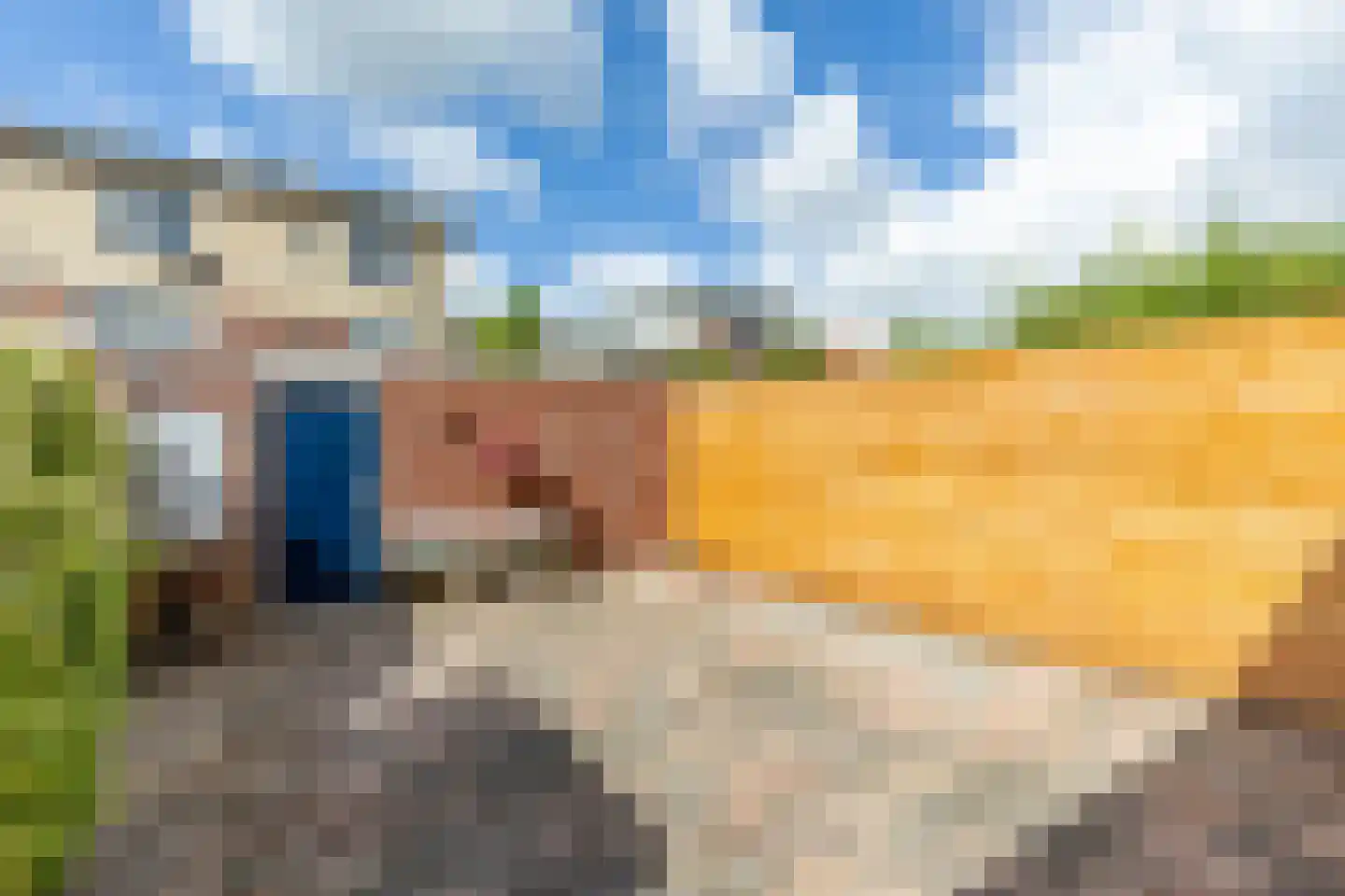 Kleine Vos 6 's-Gravendeel thumbnail 26
