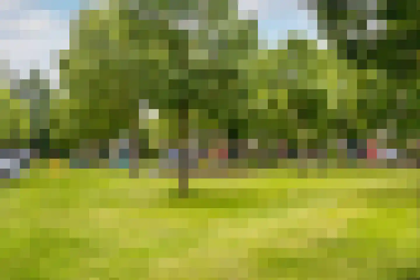 Kleine Vos 6 's-Gravendeel thumbnail 27