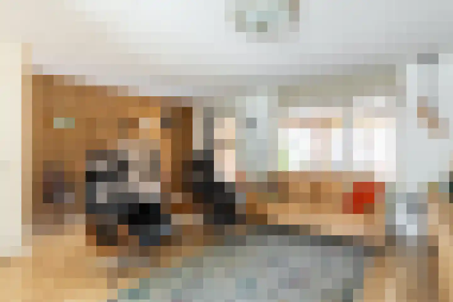 Kleine Vos 6 's-Gravendeel thumbnail 8