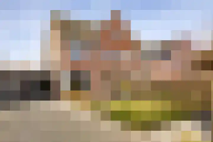 Kleine vos 6 Sneek