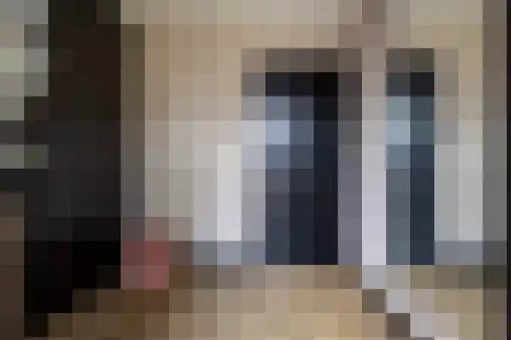 Kleine vos 6 Sneek thumbnail 11