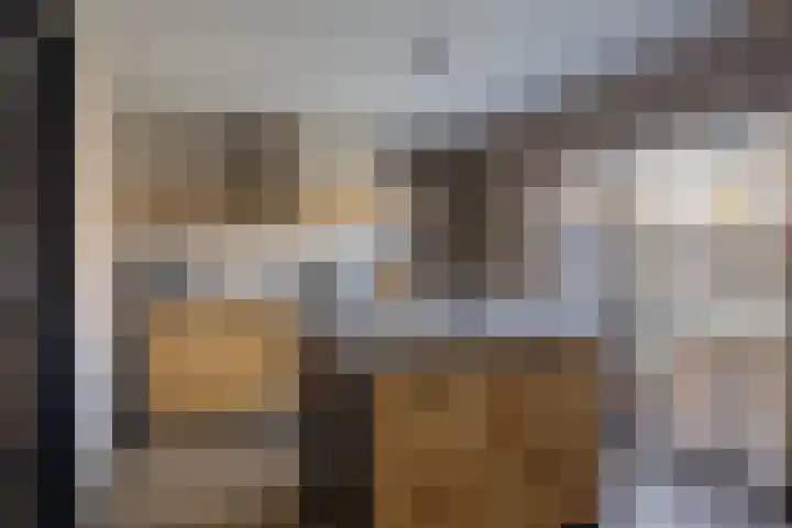 Kleine vos 6 Sneek thumbnail 12
