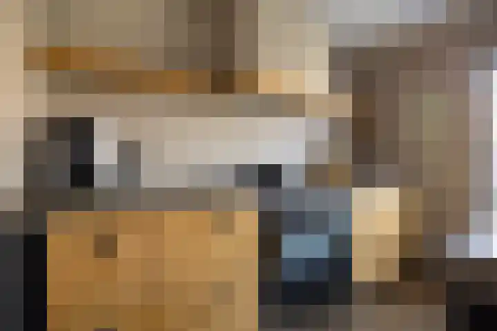 Kleine vos 6 Sneek thumbnail 13